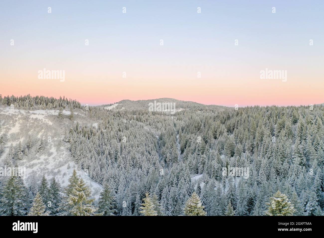 Tranquilla foresta innevata coperta dalla luce del mattino presto con montagne come sfondo. Vista aerea dei boschi ghiacciati sotto lo skyline blu. Il wi è bellissimo Foto Stock