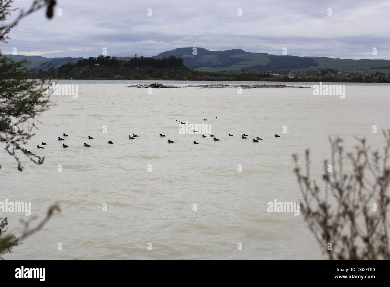 Lago Rotorua. Nuova Zelanda. 20 Sep 2011 Foto Stock
