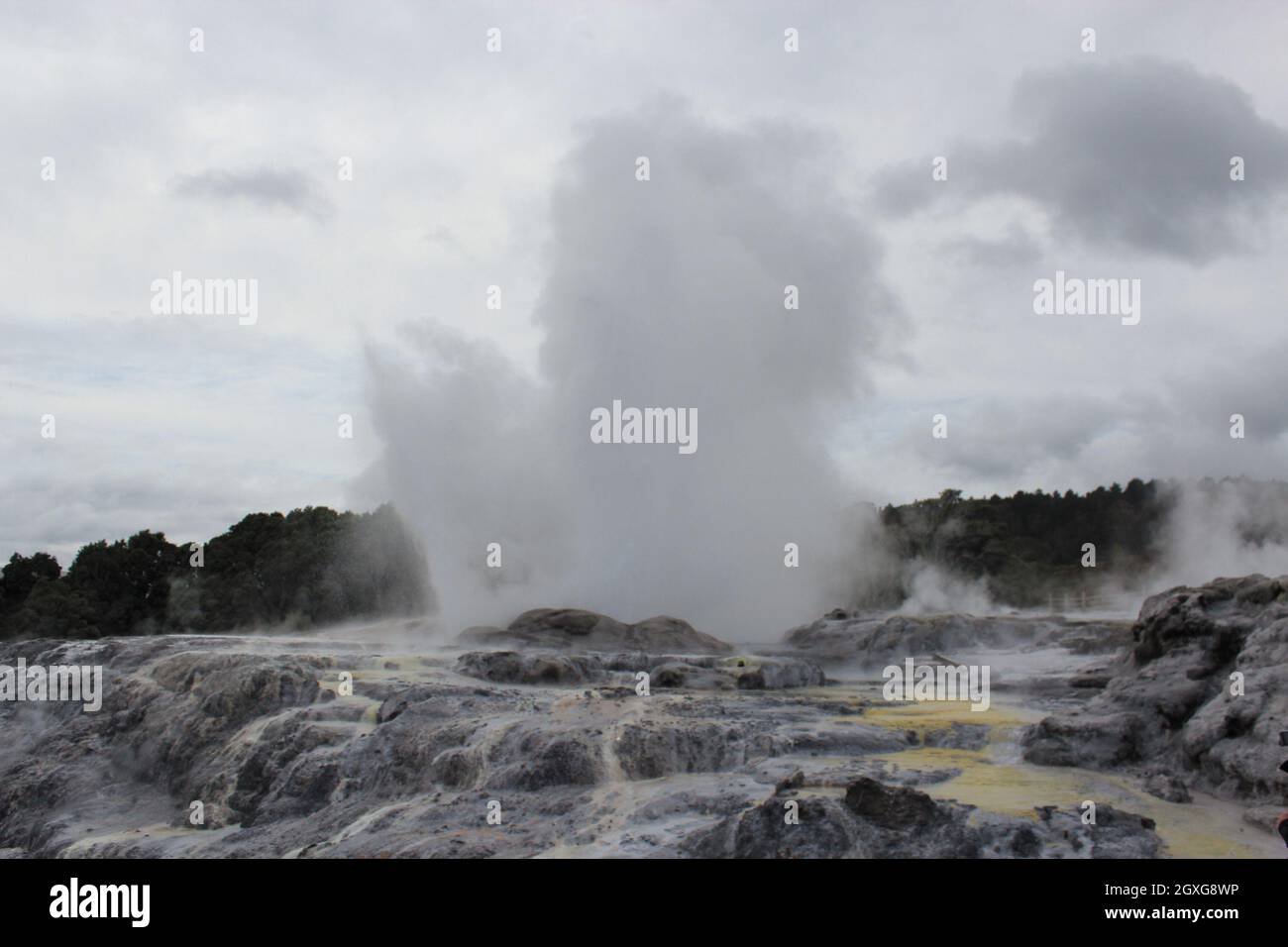 Eruzione del geyser. Pohutu geyser.Rotorua, Nuova Zelanda. 18 ottobre 2011 Foto Stock