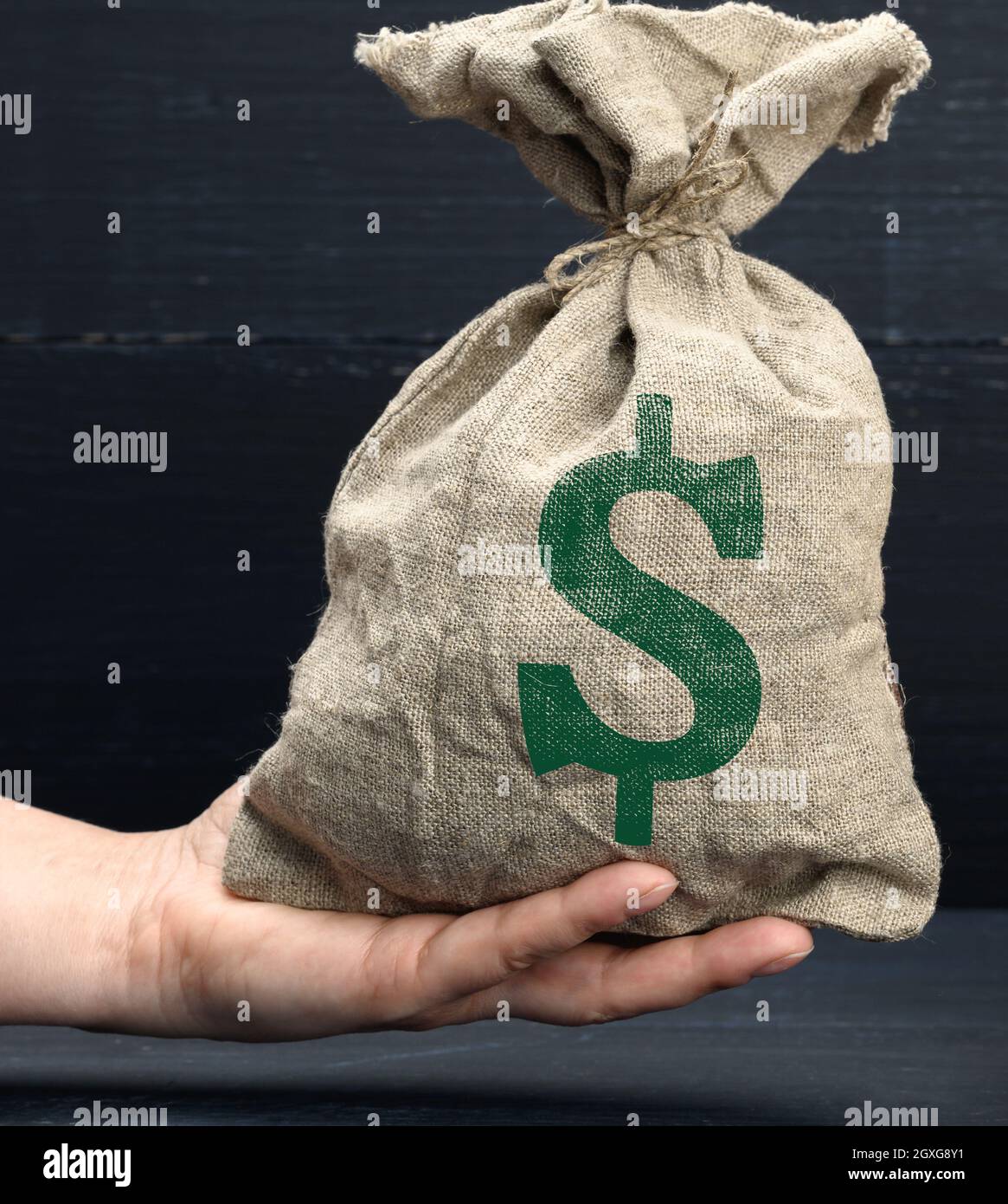 La mano tiene una borsa di tela piena di soldi con un'icona del dollaro degli Stati Uniti su uno sfondo blu. Concetto di pianificazione del bilancio, profitto e risparmio, risultato finanziario finale Foto Stock