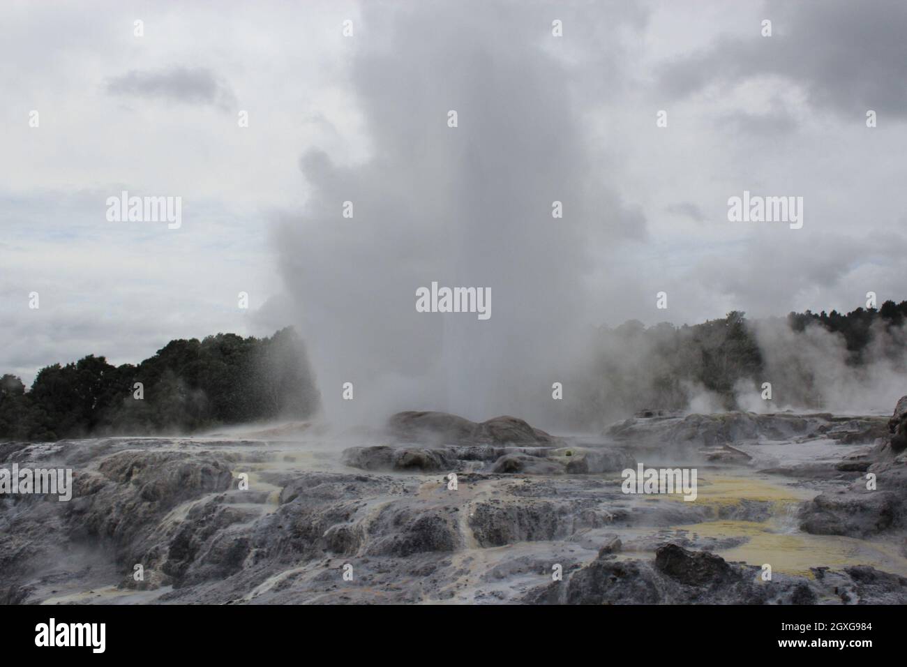 Eruzione del geyser. Pohutu geyser.Rotorua, Nuova Zelanda. 18 ottobre 2011 Foto Stock