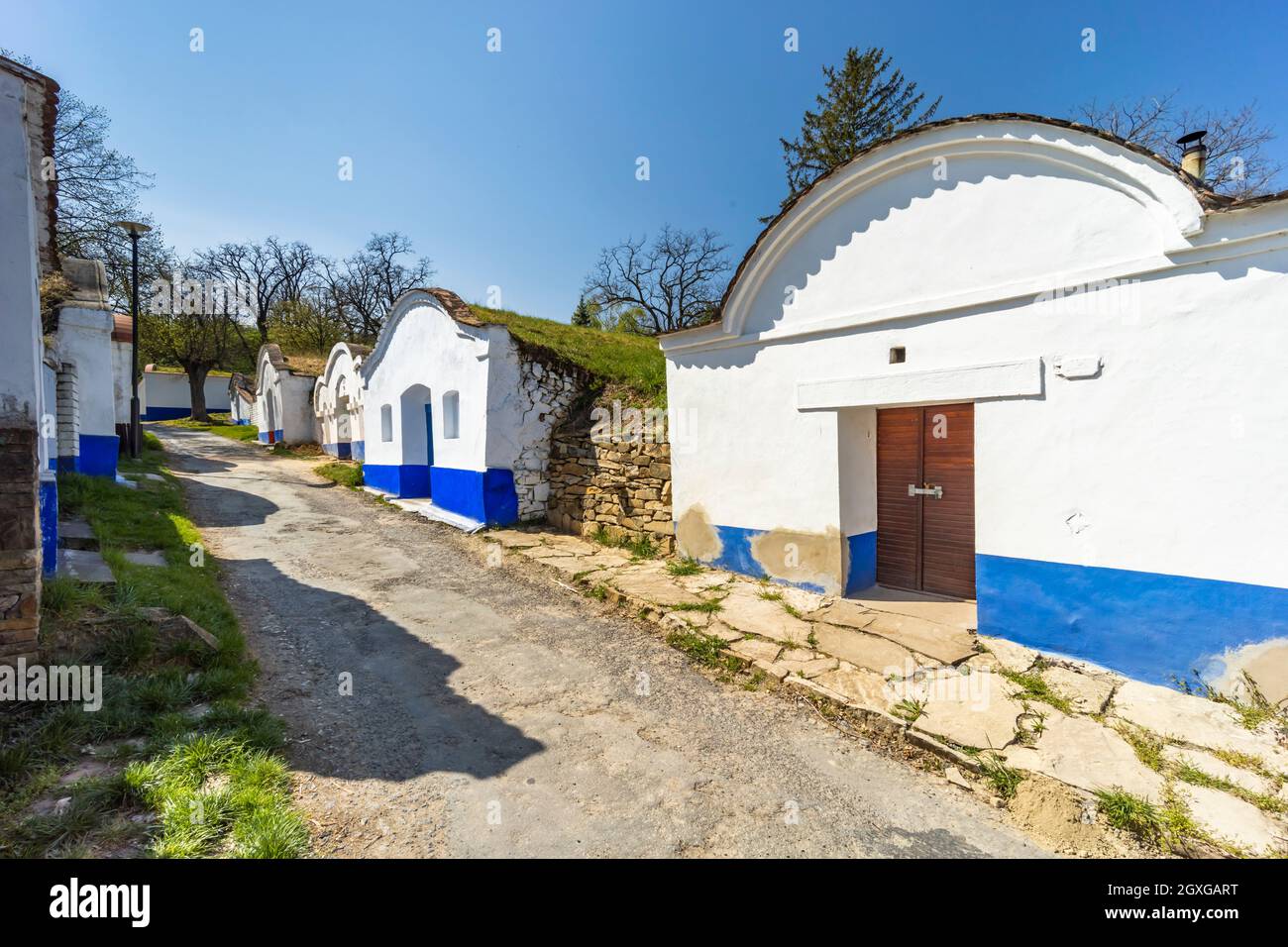 Gruppo di cantine tipiche all'aperto a Plze vicino Petrov, Moravia meridionale, Repubblica Ceca Foto Stock