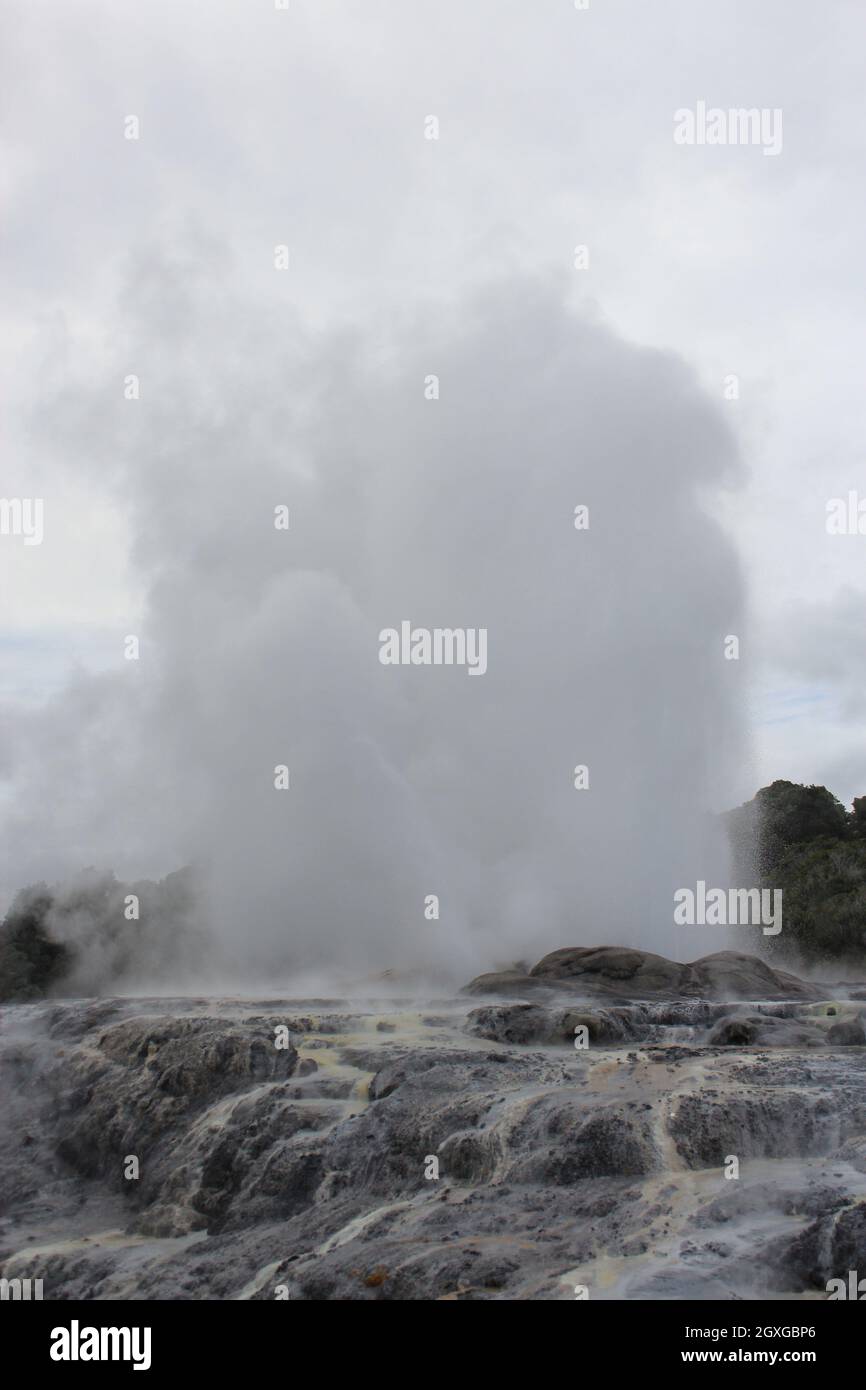 Eruzione del geyser. Pohutu geyser.Rotorua, Nuova Zelanda. 18 ottobre 2011 Foto Stock