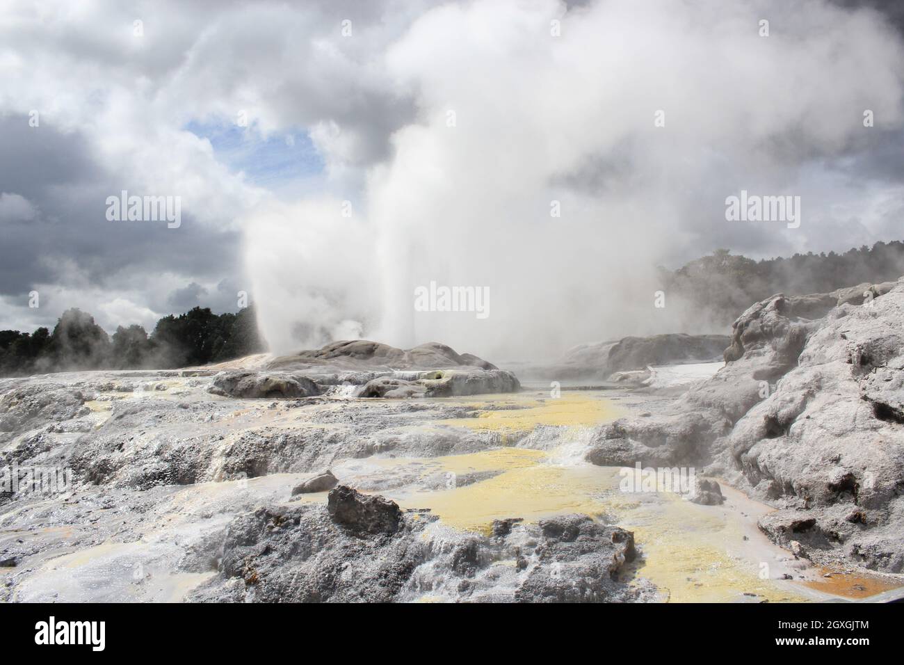 Eruzione del geyser. Pohutu geyser.Rotorua, Nuova Zelanda. 18 ottobre 2011 Foto Stock