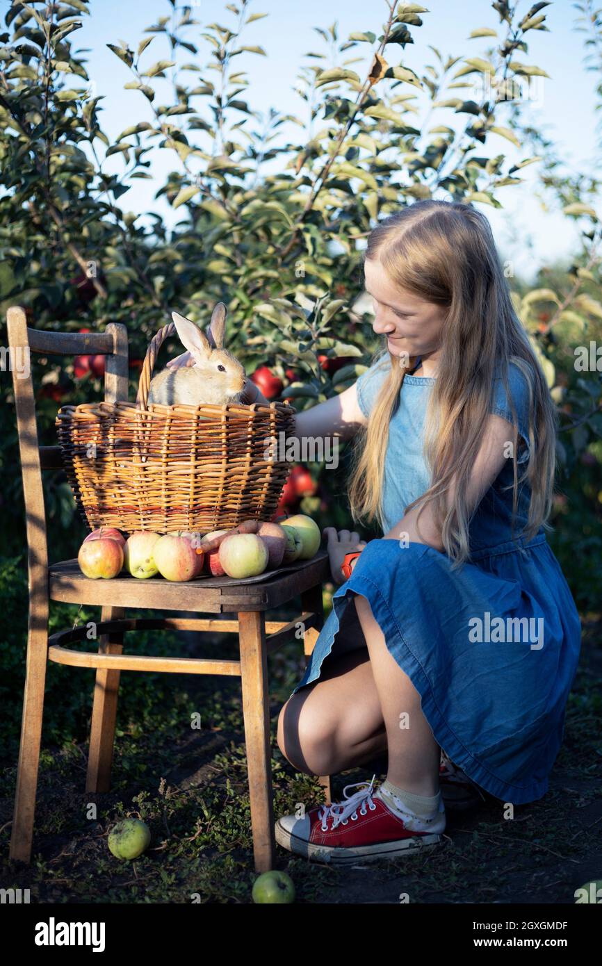 ragazza felice in giardino con coniglio e un cestino di mele. estetica della vita rurale Foto Stock