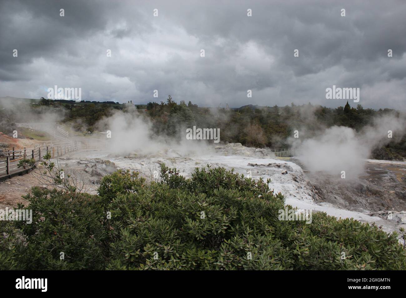 Eruzione del geyser. Pohutu geyser.Rotorua, Nuova Zelanda. 18 ottobre 2011 Foto Stock
