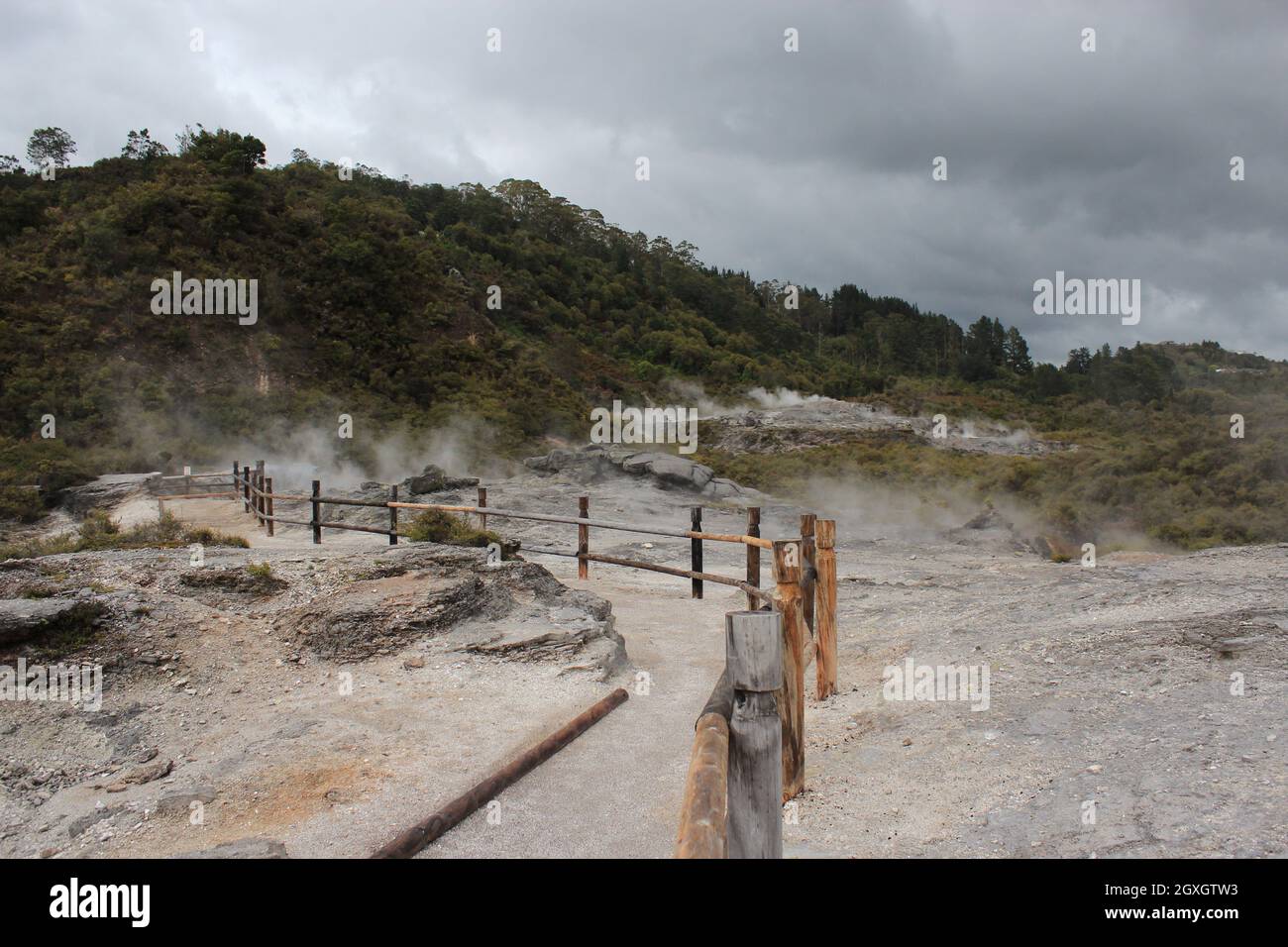 Eruzione del geyser. Pohutu geyser.Rotorua, Nuova Zelanda. 18 ottobre 2011 Foto Stock