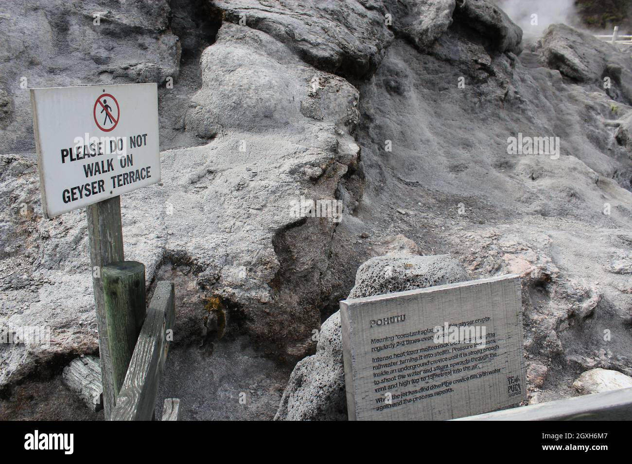 Eruzione del geyser. Pohutu geyser.Rotorua, Nuova Zelanda. 18 ottobre 2011 Foto Stock