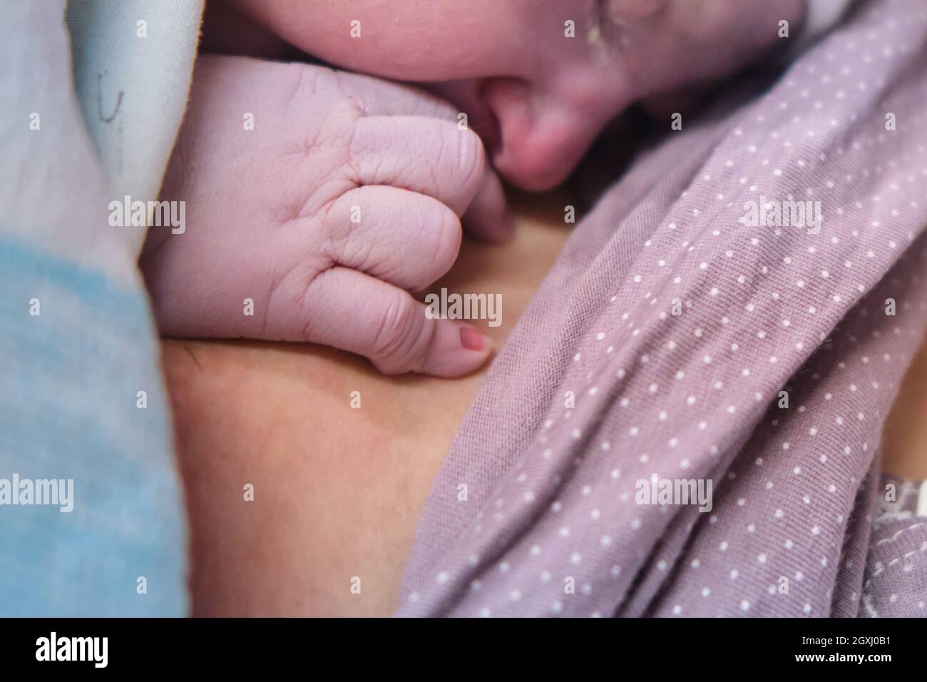 Mano di un neonato primo piano. Posare il bambino sul petto della madre subito dopo il parto. Una donna che ha dato alla luce un bambino neonato Foto Stock