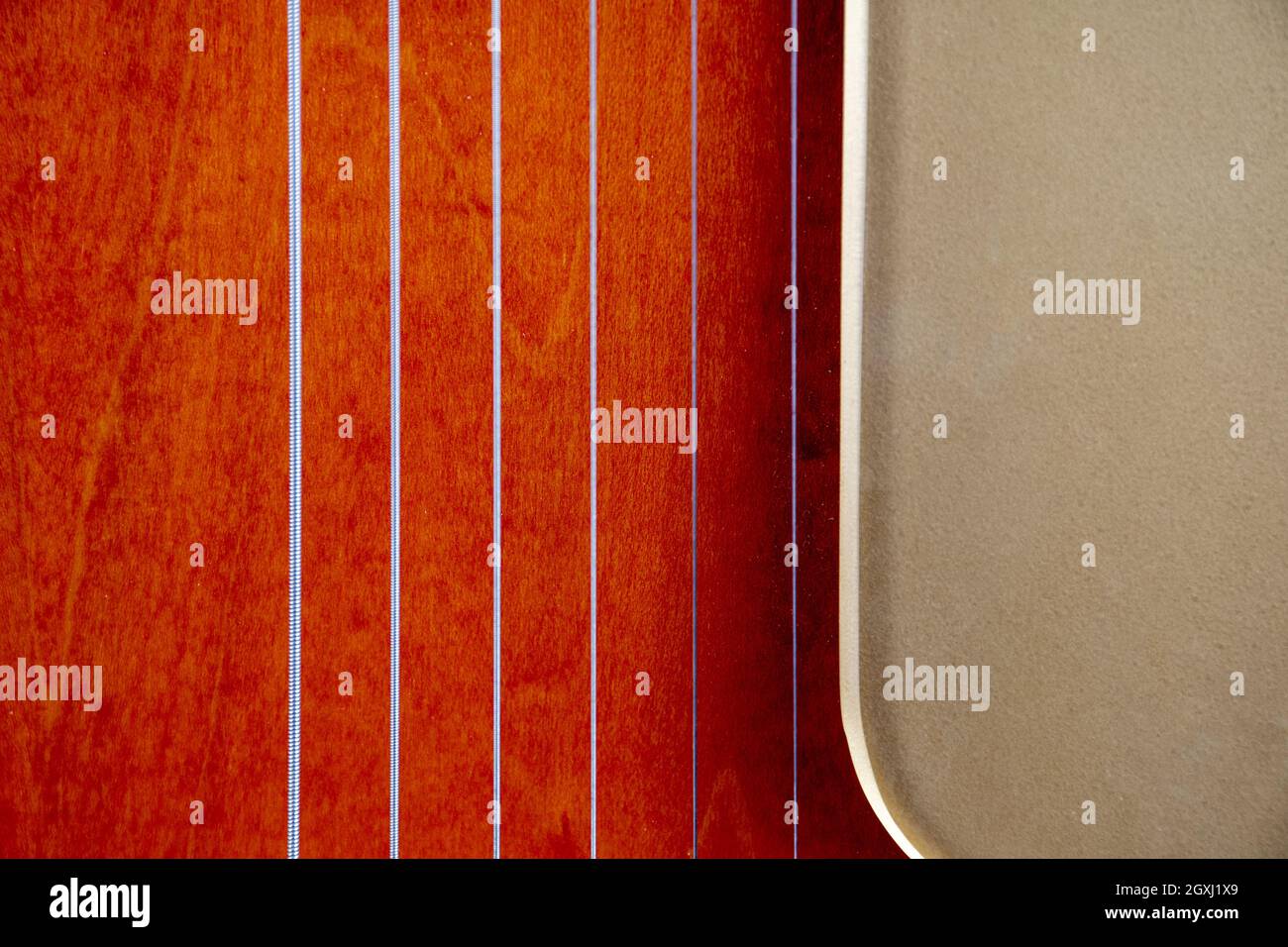 Vista ravvicinata delle corde di una chitarra Foto Stock