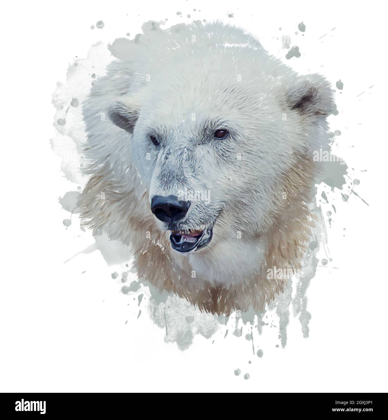 Pittura digitale dell'orso polare su sfondo bianco Foto stock - Alamy
