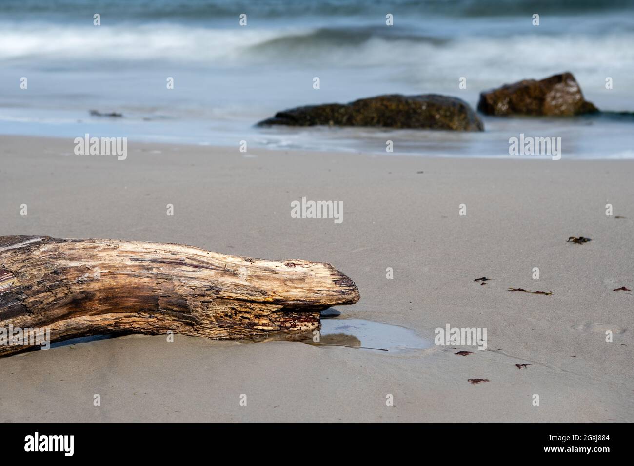 tronco di albero e grandi pietre sulla spiaggia Foto Stock