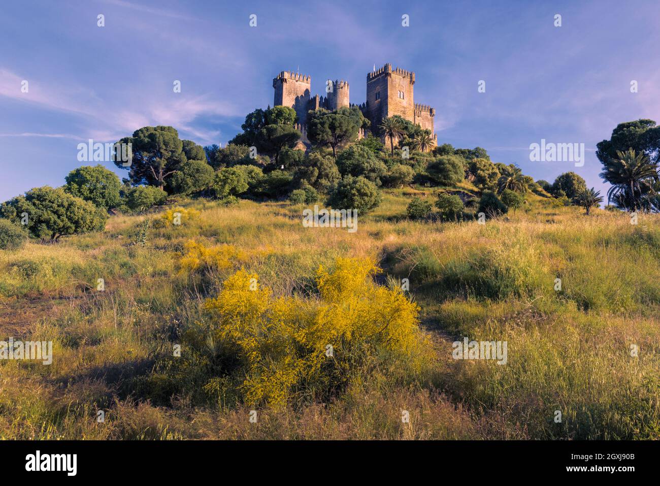 Castello di Almodovar. Almodovar del Rio, Provincia di Cordova, Andalusia, Spagna. Fondata come fortezza romana si sviluppò nella sua forma attuale durante i Moori Foto Stock