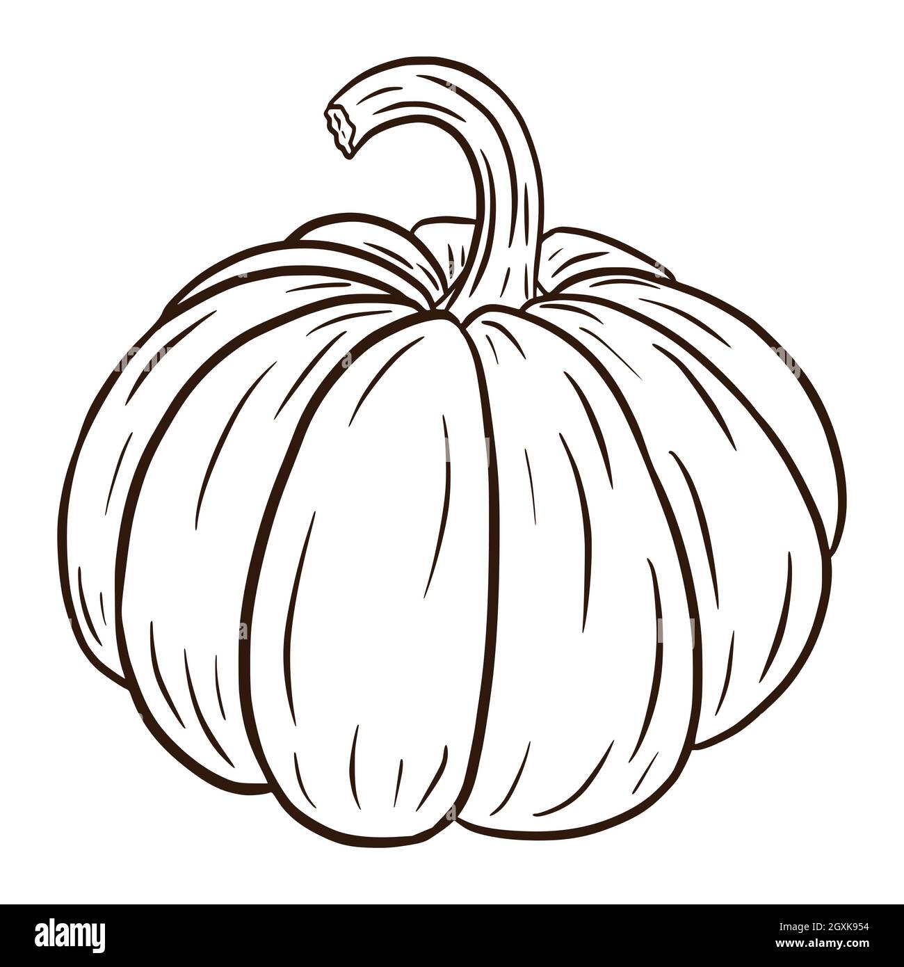 Illustrazione vettoriale di Line Art Ripe Pumpkin. Icona cibo autunno. Fresco schizzo di squash. Elemento decorativo autunnale, invito a Halloween, raccolto, adesivo, stampa, logo, menu, ricetta Illustrazione Vettoriale