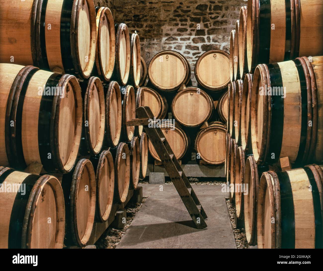 Domaine Leflaive cantina Puligny Montrachet Borgogna Cote d'Or Francia. Domaine Leflaive è una cantina situata a Puligny-Montrachet, Côte de Beaune, Borgogna. Il domaine è molto apprezzato per i suoi vini bianchi e le sue aziende vinicole comprendono 5.1 ettari (13 acri) di vigneti Grand Cru, in particolare nei vigneti Grand Montrachet Foto Stock