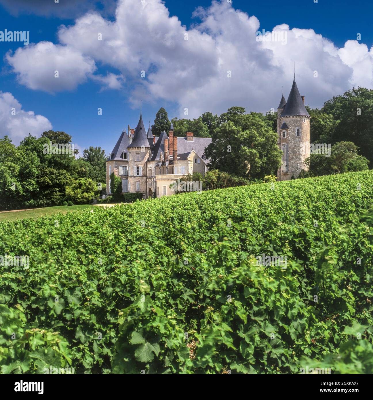 Château de Tracy, con vigneti Sauvignon Blanc in primo piano Tracy-sur-Loire, Pouilly-Fumé, Nièvre, Francia il Domaine è composto da 33 ettari sulle pendici intorno al Château stesso (terroir di selce) e quelli di Vilmoy, a pochi chilometri da Pouilly-sur-Loire (terroir calcareo Kimmeridgian). A nord dell'area dei fumi di Pouilly, sulle colline che si affacciano sulla Loira, il vigneto Château de Tracy si estende dalla collina Tracy all'altopiano degli Champs de Cris. Foto Stock