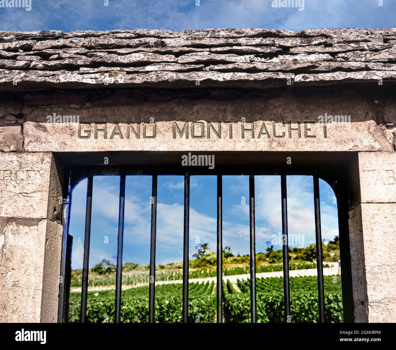 LE MONTRACHET porta d'ingresso al miglior vino bianco Chardonnay del mondo il Grand Montrachet Grand Cru vigneto, Puligny-Montrachet, Côte d'Or, Francia. [Côte de Beaune Grand Cru] Foto Stock