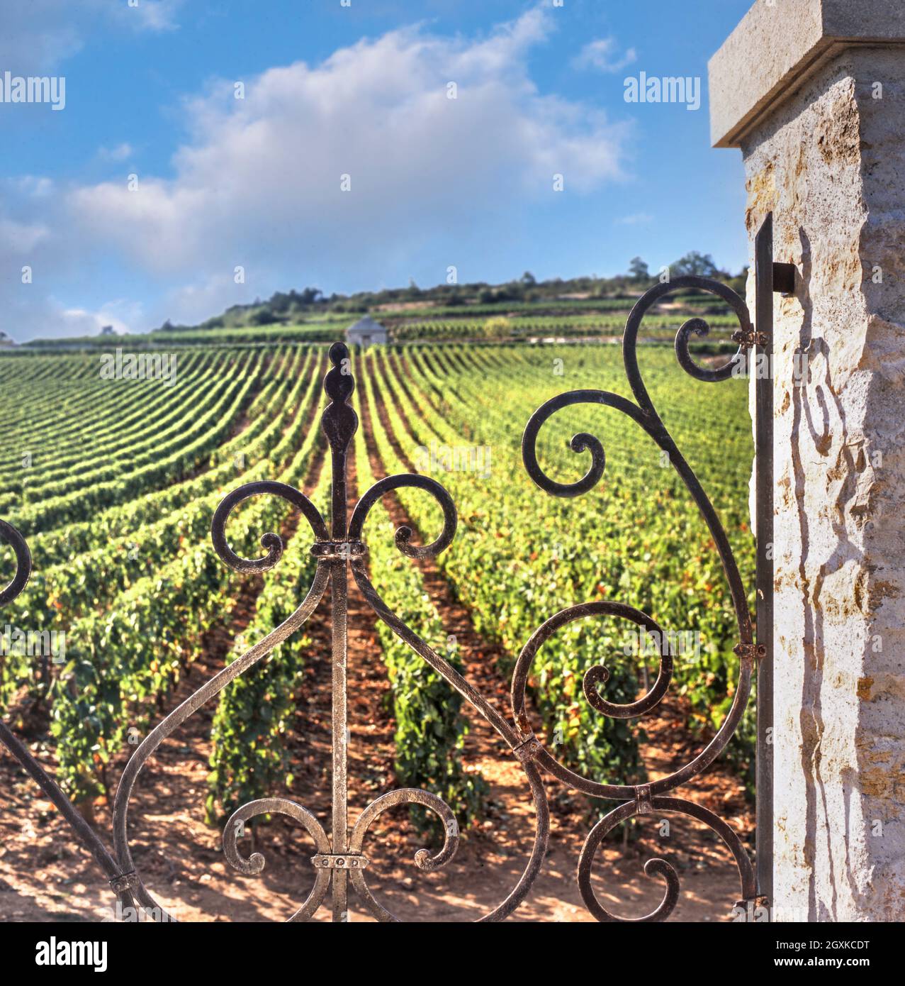 LE MONTRACHET VIGNA ingresso ornato facciata di Bouchard Père et Fils nel rinomato 'Le Montrachet' vigna Puligny-Montrachet, Côte d'Or, Francia. Foto Stock