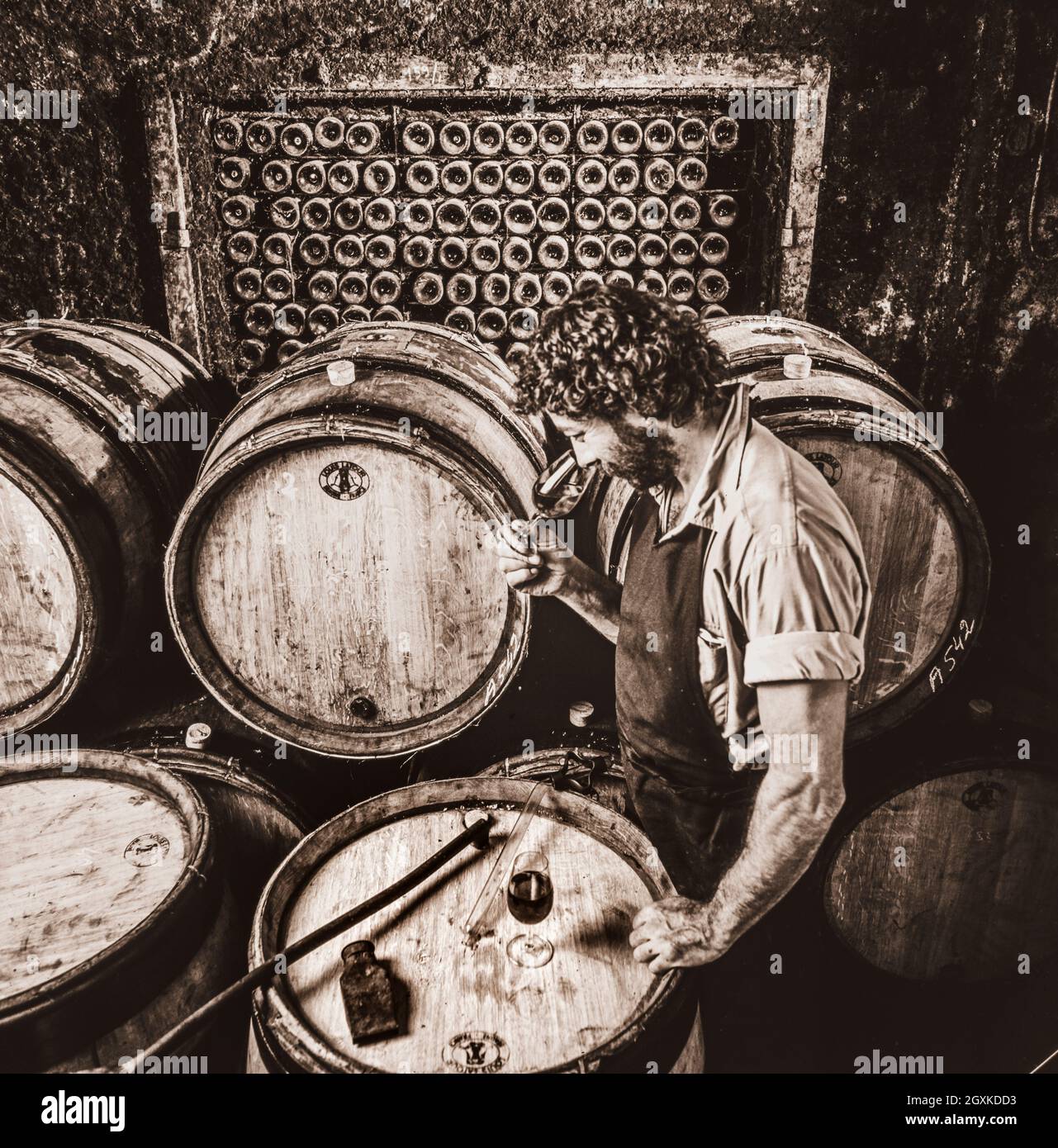 Vinaio in cantina degustazione vino rosso borgogna nelle cantine di Louis Latour Chateau de Grancey Aloxe Corton Cote d'Or Borgogna Francia B&W immagine retrò colore annata Foto Stock