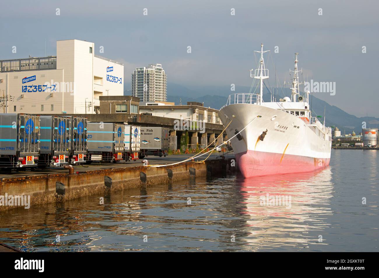 Nave ormeggiata nel porto di Shizuoka, Shizuoka, Giappone Foto Stock