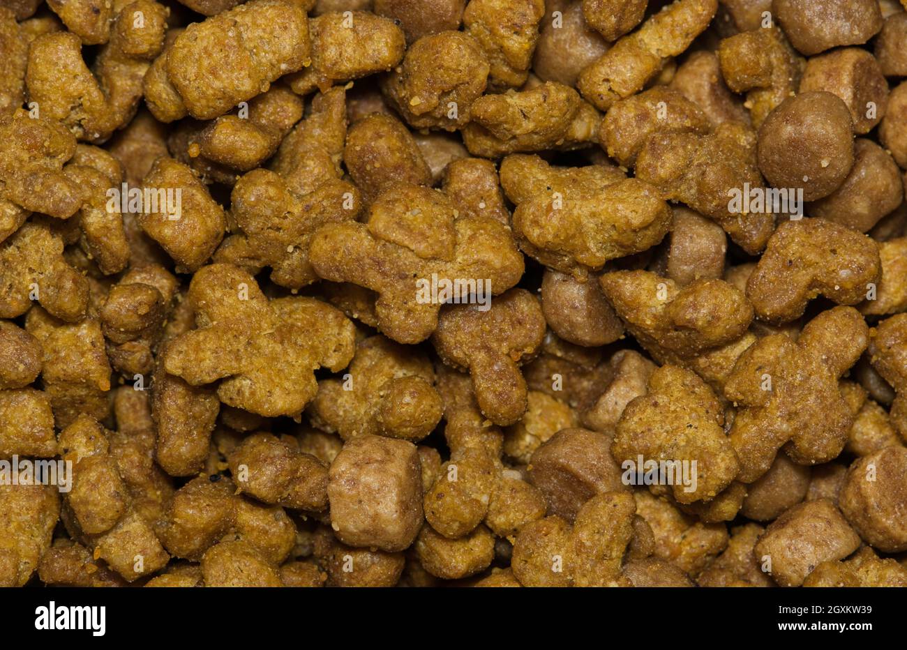 Pezzi di cibo gatto secco con dettagli macro closeup. Nutrizione animale domestico felina sana, direttamente sopra l'immagine completa del fotogramma. Foto Stock
