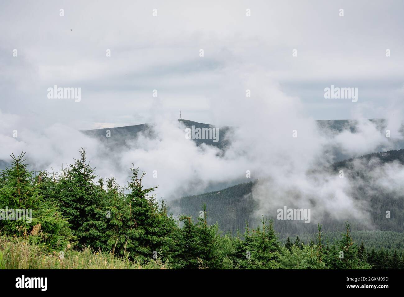 Montagne geseniky e picco di Praded con televisione trasmettitore torre e piattaforma di osservazione, Repubblica Ceca. Pittoresca campagna nebbia, popolare Foto Stock