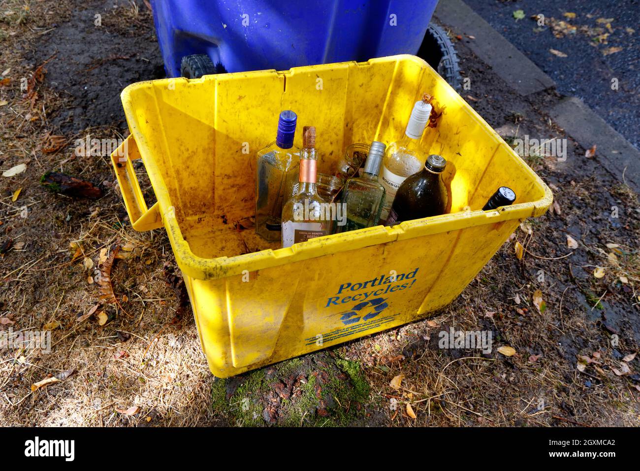 Una vasca di riciclaggio gialla etichettata "Portland ricicles!" riempito con bottiglie e vasetti di vetro. A Portland, il vetro è riciclato separatamente dal misto ... Foto Stock