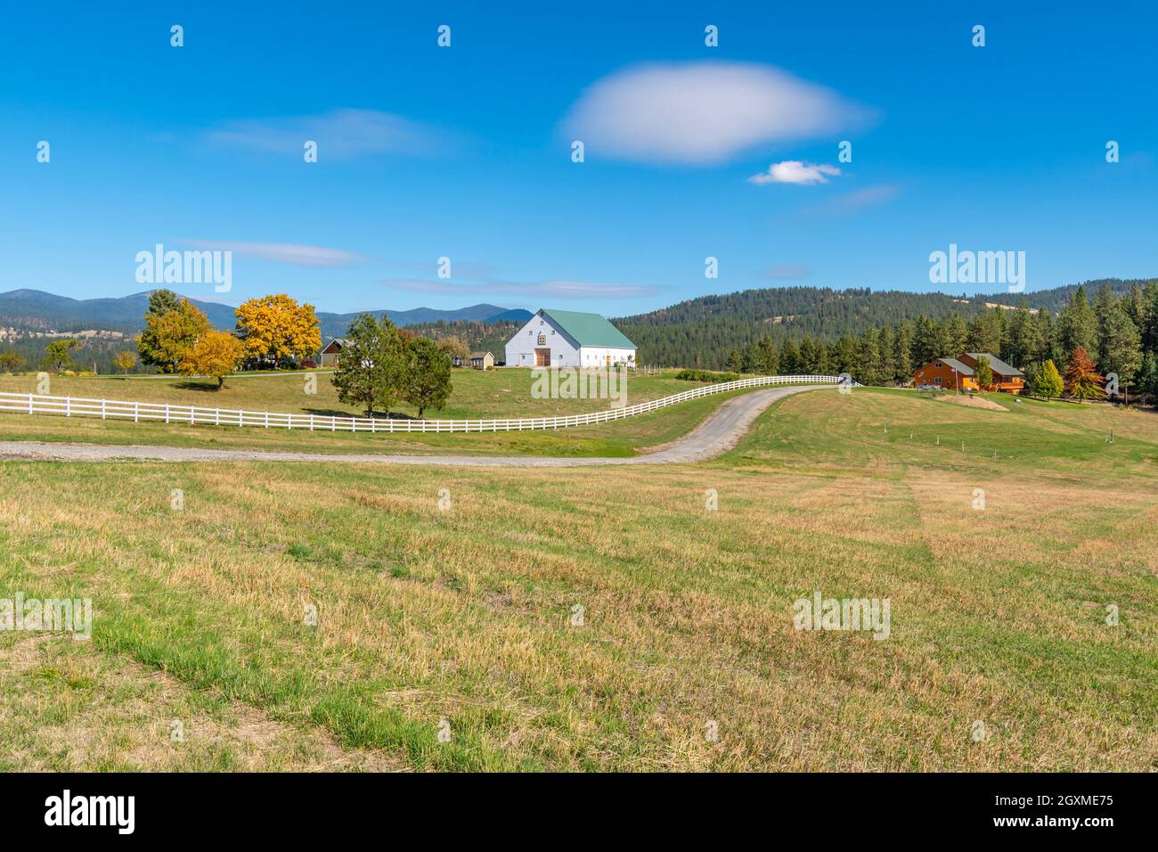 Fattorie, case e ranch tra le colline ondulate della zona di Green Bluff di Spokane, Washington, USA, come le foglie iniziano a girare i colori in autunno. Foto Stock