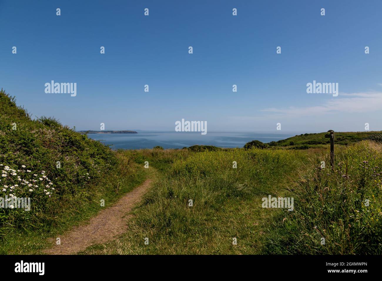 Un percorso costiero a Pembrokeshire, vicino a Skrinkle Haven Foto Stock