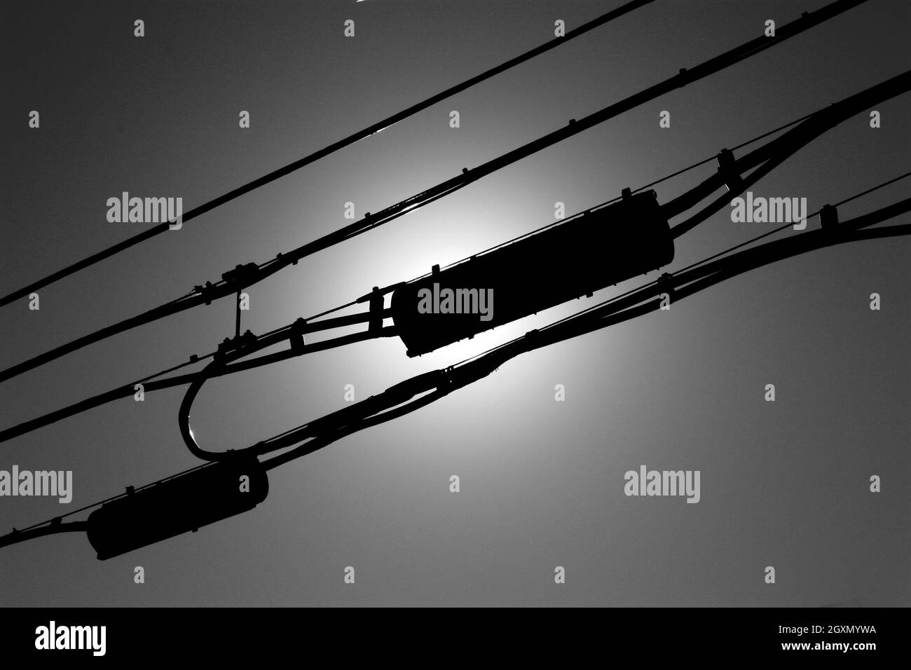 Le linee telefoniche in bianco e nero si incrociano di fronte al sole Foto Stock