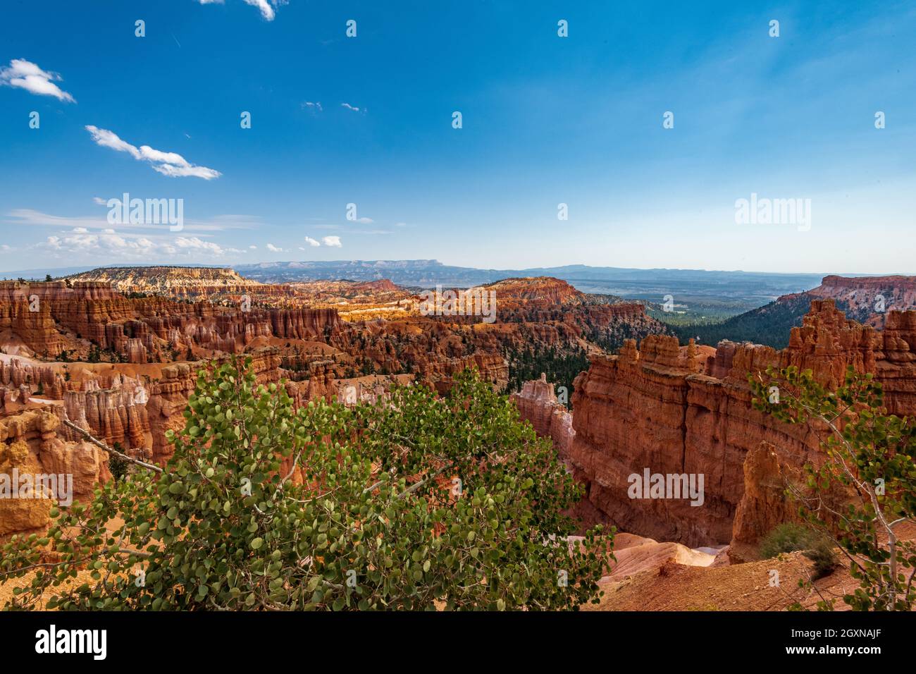 Camminando lungo il bordo dell'anfiteatro di Bryce potrai ammirare diverse vedute del canyon e degli Hoo Doos Foto Stock