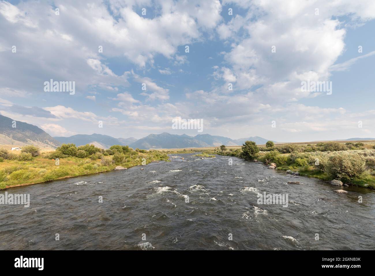 Jefferson River, affluente del fiume Missouri a Missouri Flats, Montana, USA Foto Stock