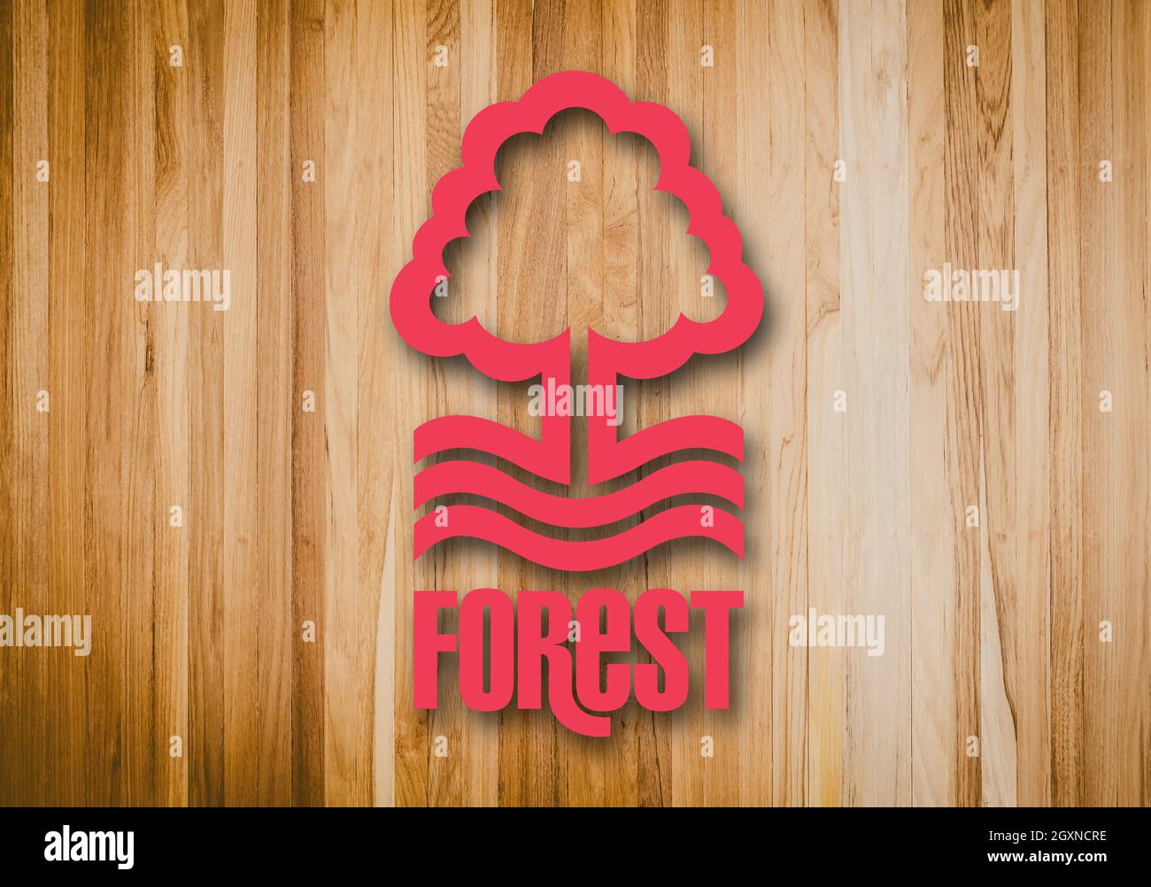 Stemma Nottingham Forest F.C., West Bridgford, una squadra di calcio dall'Inghilterra Foto Stock