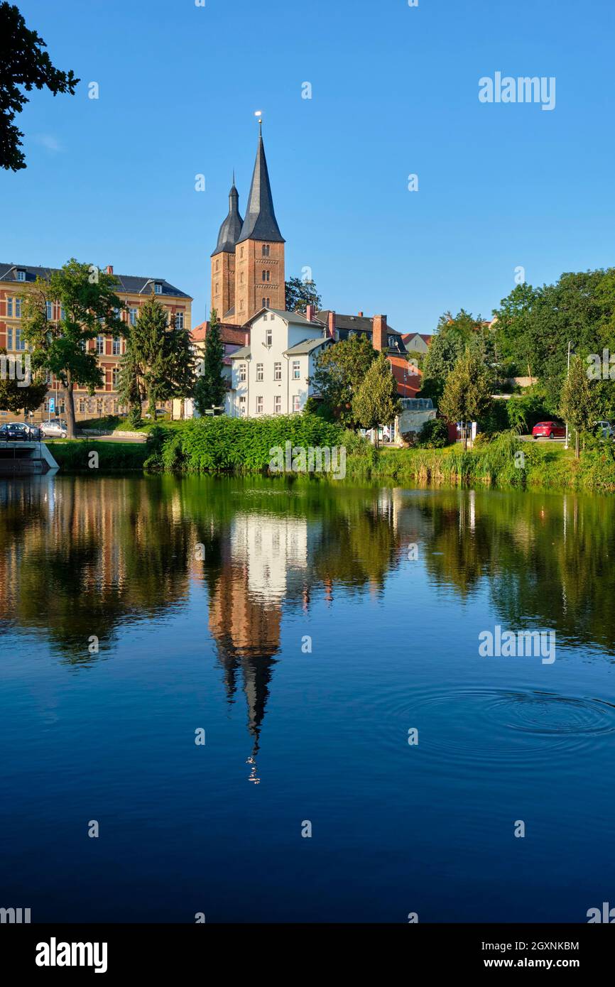 Rote Spitzen al laghetto di Altenburg, Turingia, Germania Foto Stock