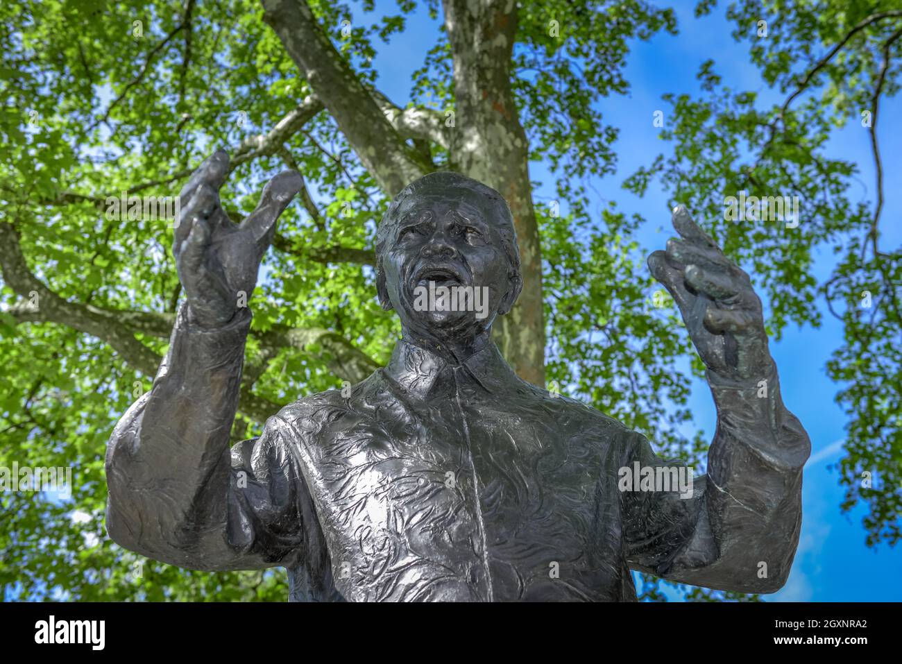 Statua, Nelson Mandela, Piazza del Parlamento, Londra, Inghilterra, Regno Unito Foto Stock