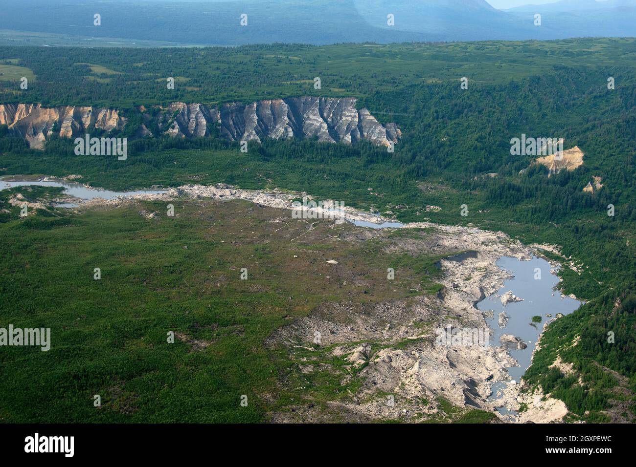 Il fiume Glacier in una foresta di ghiacciai, Denali National Park and Preserve, Alaska, USA Foto Stock