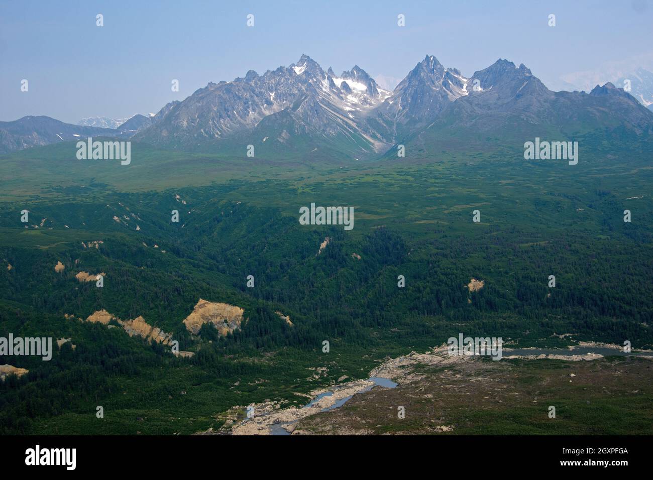 Alaska Range e foresta di ghiacciai con taiga decidua al Denali National Park and Preserve, Alaska, USA Foto Stock