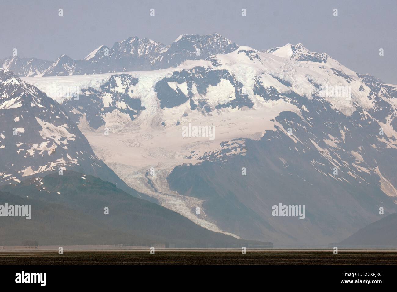 Surprise Glacier, Backstone Bay, Alaska, USA Foto Stock