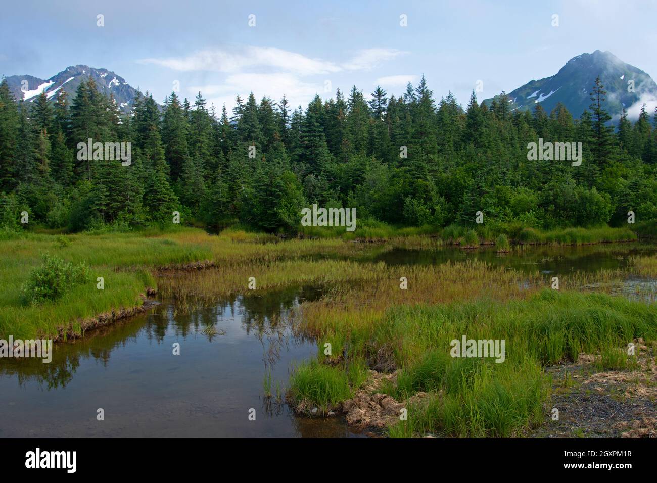 Foresta temperata scenografica, torrente, e montagne innevate durante l'estate, Cordova, Alaska, Stati Uniti Foto Stock