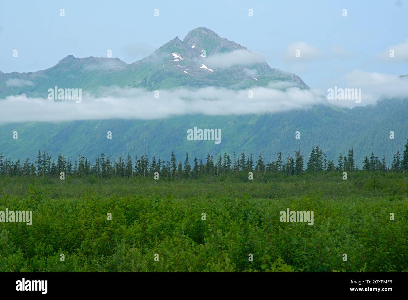 Paesaggio estivo dell'Alaska intorno a Cordova, Alaska, USA Foto Stock