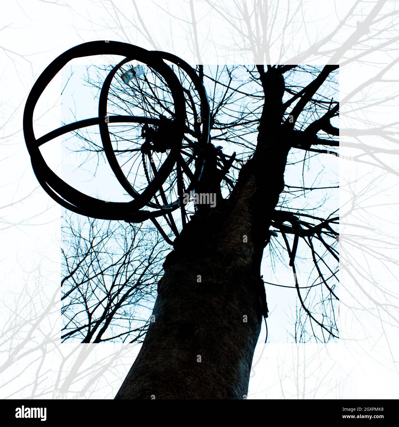 Silhouette di un albero con una gabbia appesa contro un cielo blu con una cornice bianca traslucida Foto Stock