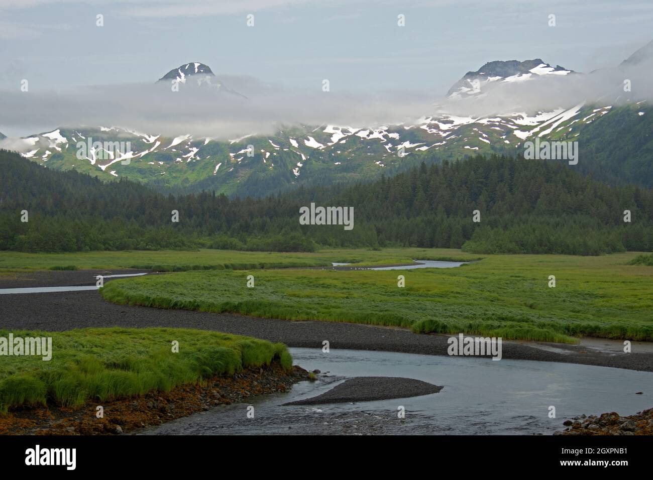 Montagne innevate, nube bassa e un ruscello verde, un paesaggio tipico dell'Alaska durante l'estate, Cordova, Alaska, Stati Uniti Foto Stock