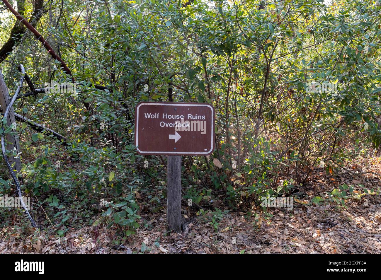 Le rovine di Wolf House si affacciano sul cartello, la casa di Jack London, il famoso autore californiano di White Fang e il Call of the Wild, lo state Park, la contea di Sonoma, Cali Foto Stock