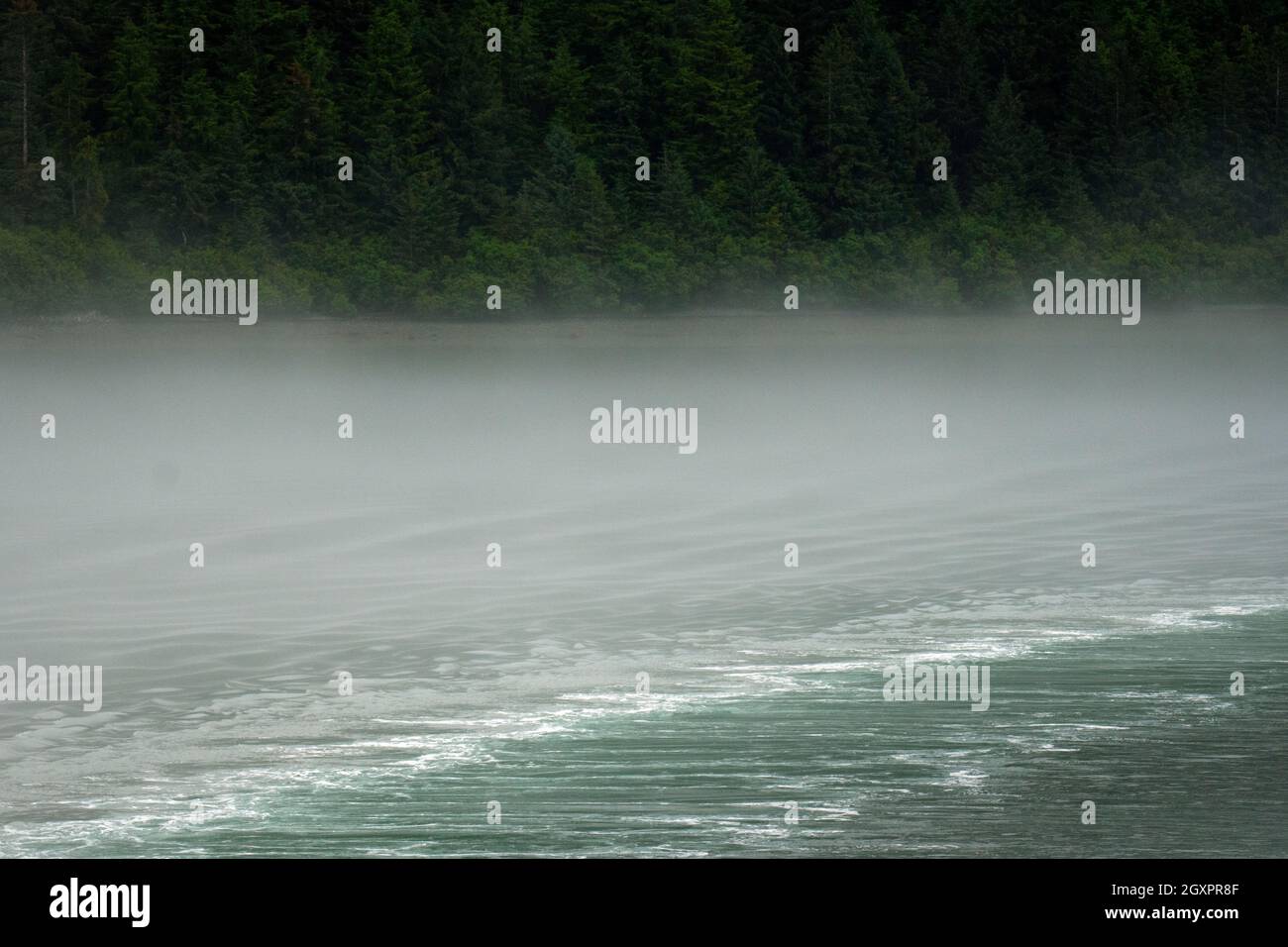 Nebbia mattutina sul mare su Prince William Sound, Alaska, USA Foto Stock