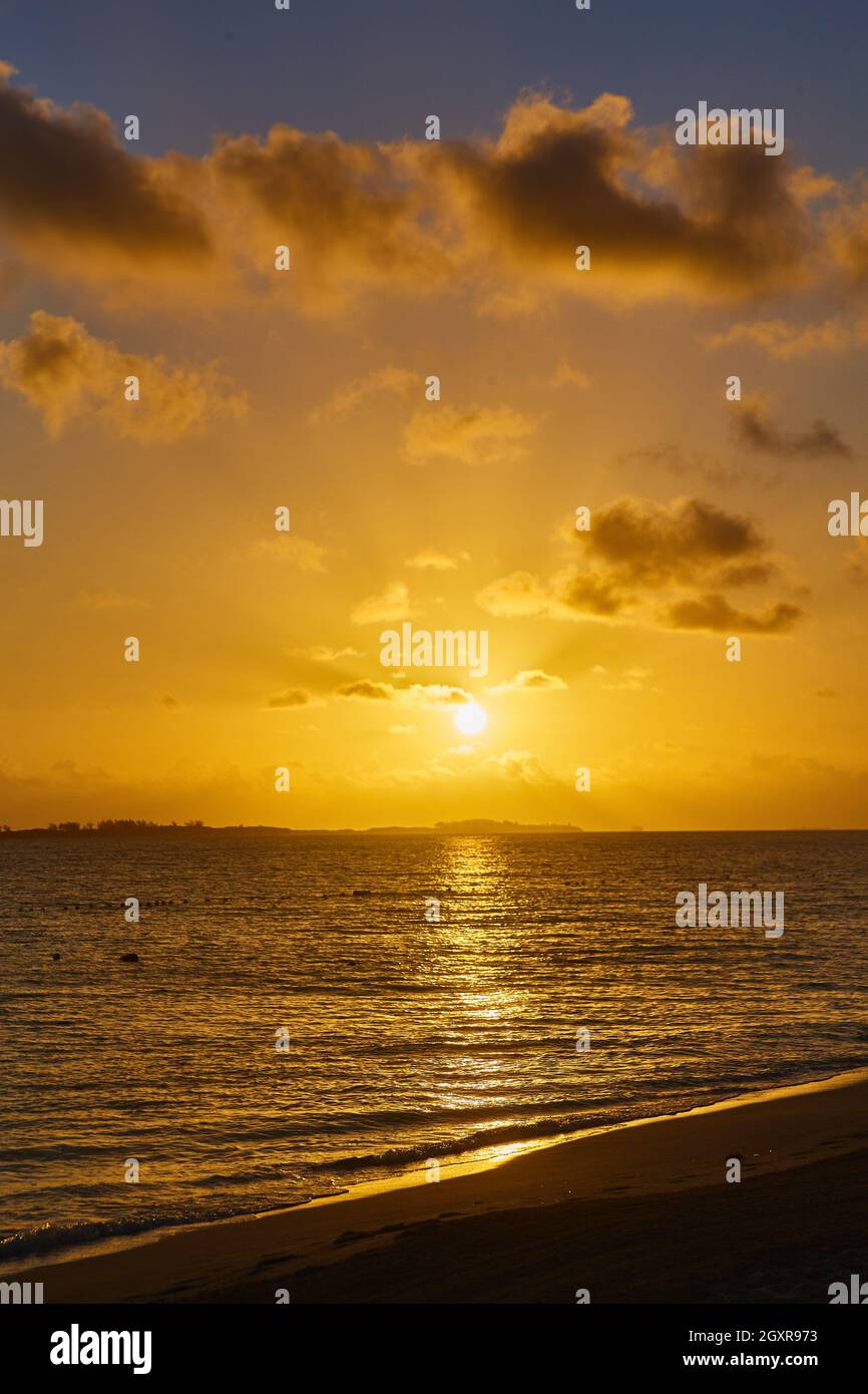Tramonto verticale o alba sull'oceano da spiaggia di sabbia con bagliore dorato Foto Stock