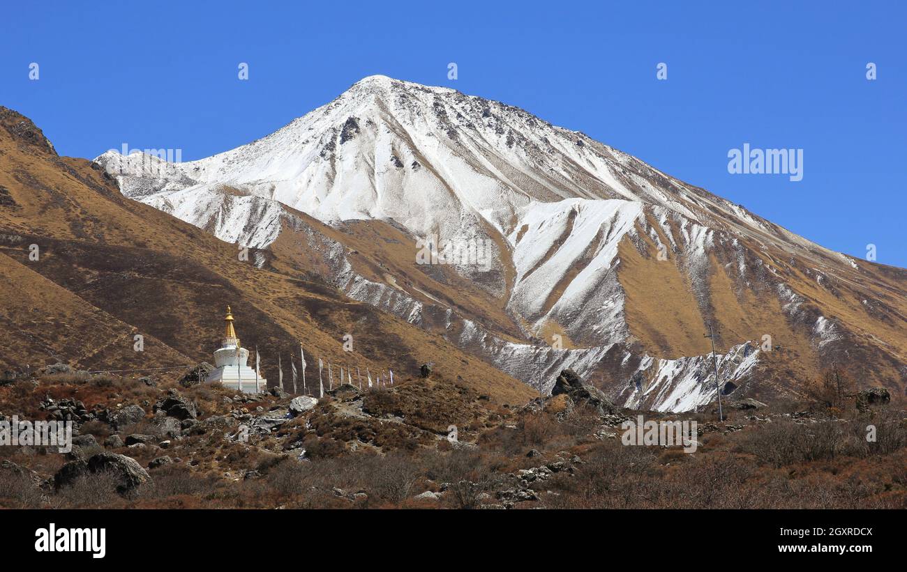 La molla in scena la Langtang valley. Montare Tserko Ri e piccolo stupa. Foto Stock