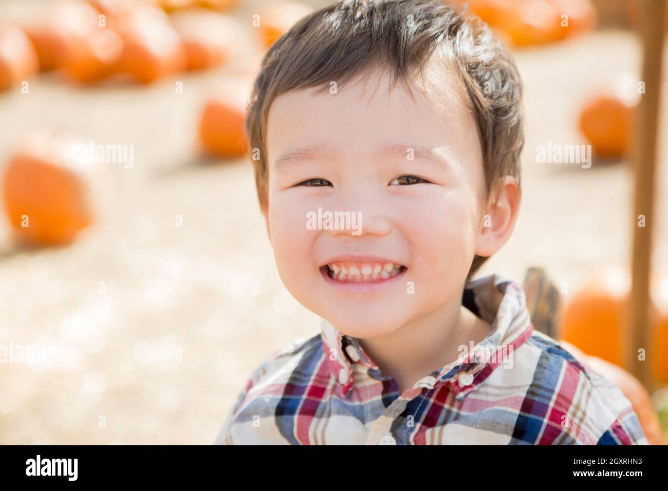 Carino razza mista giovane ragazzo divertendosi al Pumpkin Patch. Foto Stock