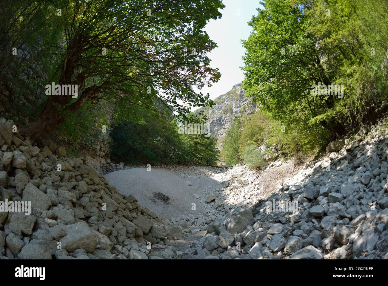 wild river essiccato letto sul giorno d'estate cambiamenti climatici segnali Foto Stock