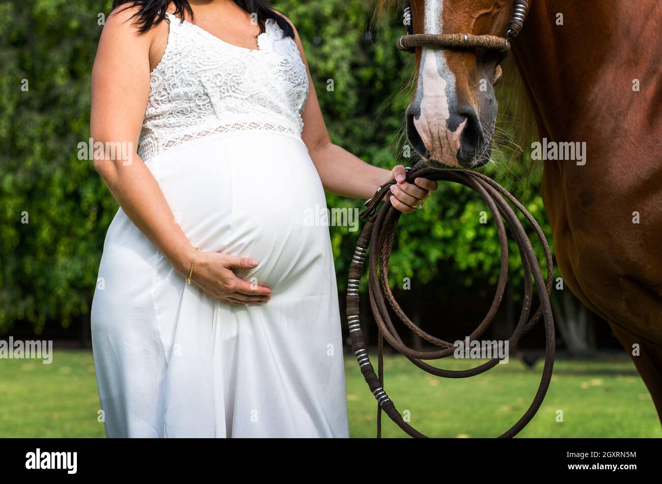 Ritratto di donna incinta in abito bianco vicino a un cavallo Foto Stock