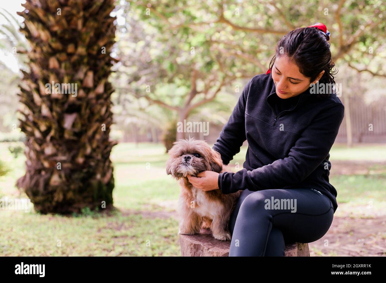 La giovane donna carina sta abbracciando il suo piccolo cucciolo. Amore tra proprietario e cane. Foto all'aperto nel parco, fuoco selettivo. Concetto di stile di vita Foto Stock